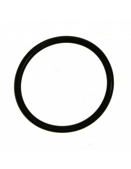 Junta torica 31x2.5