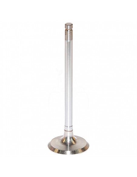 Válvula de admisión ø 43.00 x 8.00 mm - l 133.00 mm - 45 °