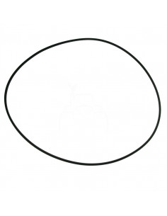 Junta hermetica 313,6x3,4