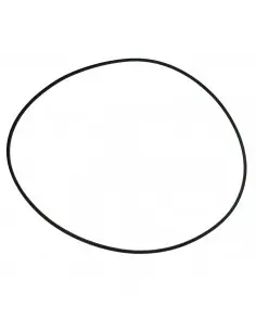 Junta hermetica 313,6x3,4