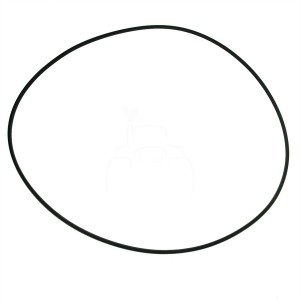 Junta hermetica 313,6x3,4