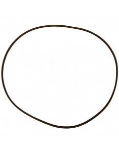 Junta hermetica 252,6x3,4