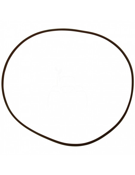 Junta hermetica 252,6x3,4