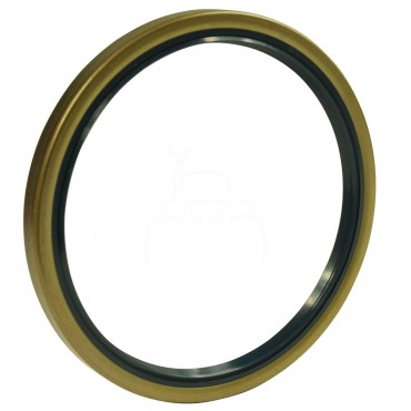 Anillo 145x170x13