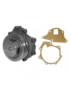 Bomba de agua polea doble