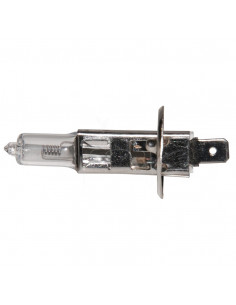 Lampara halogena 24 v - 70 w - p14.5s - h1