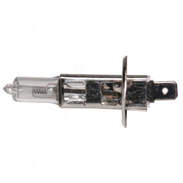 Lampara halogena 24 v - 70 w - p14.5s - h1