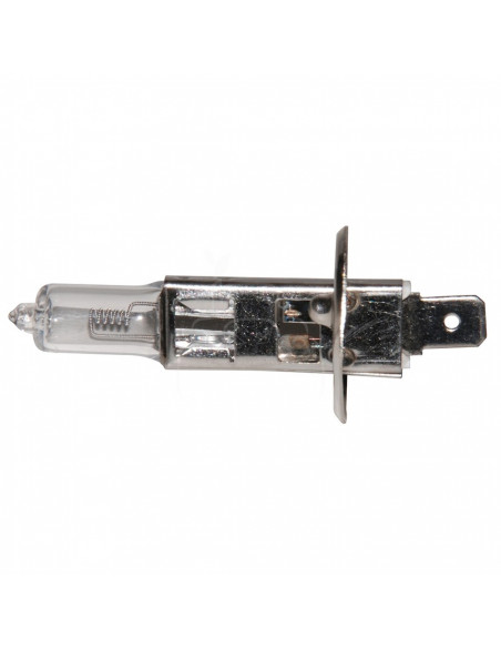 Lampara halogena 24 v - 70 w - p14.5s - h1