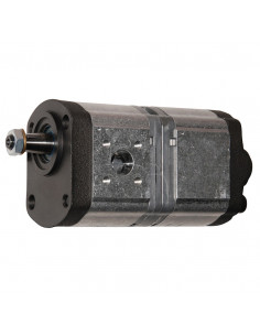 Bomba hidráulica doble