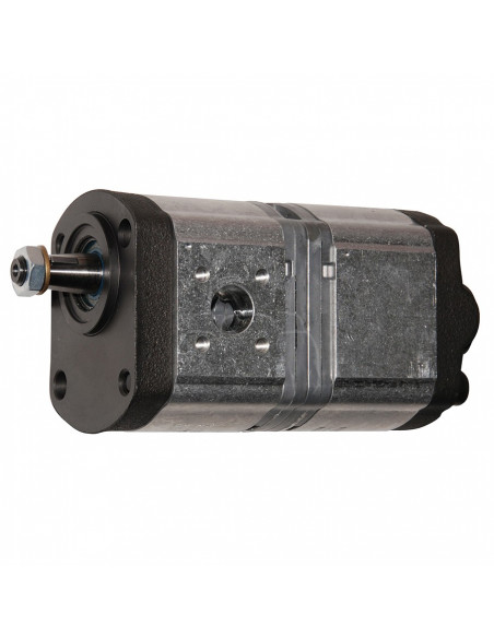 Bomba hidráulica doble