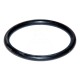 Junta tórica 255 x 4.00 mm