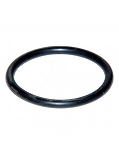 Junta tórica 255 x 4.00 mm