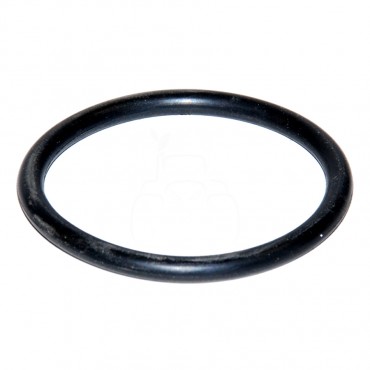 Junta tórica 255 x 4.00 mm
