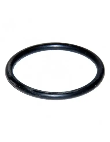 Junta tórica 255 x 4.00 mm