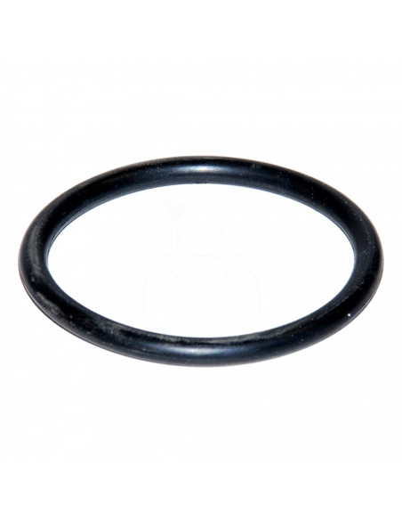 Junta tórica 255 x 4.00 mm