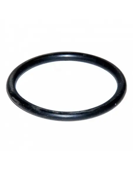 Junta tórica 255 x 4.00 mm