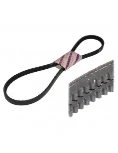 Correa en v doble 8 x 1600 la