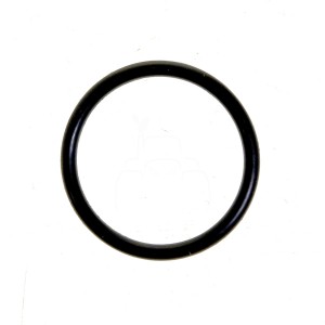 O-ring