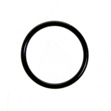 O-ring