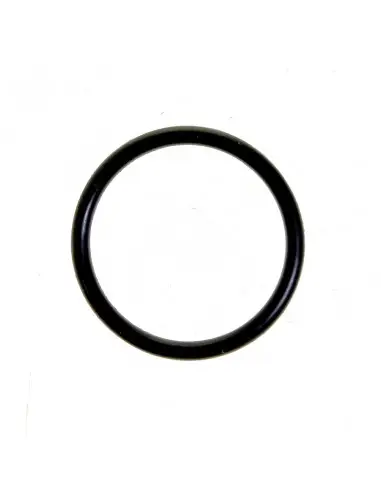 O-ring