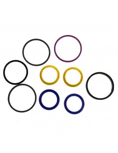 Kit de retenes del cilindro de dirección