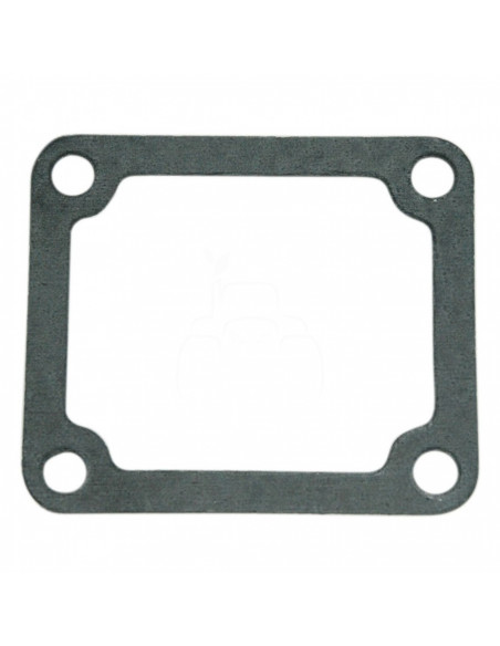 Junta del termostato