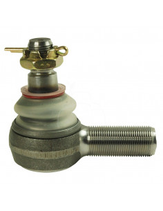 Rótula de dirección