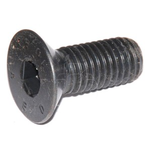 Tornillo avellanado