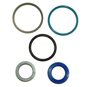 Kit de retenes del cilindro de dirección