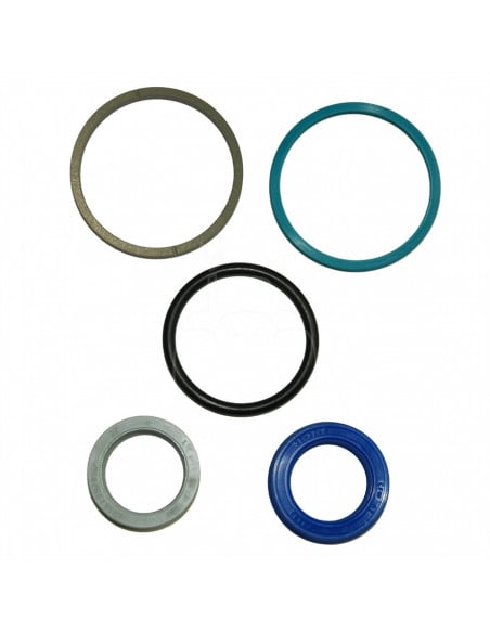 Kit de retenes del cilindro de dirección