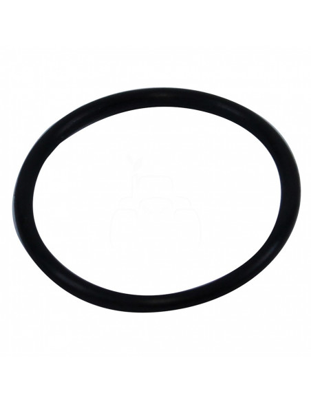 O-ring