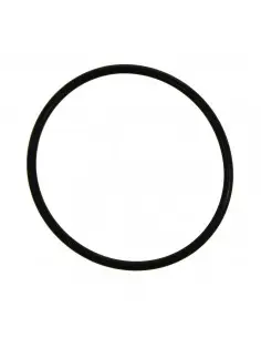 Junta tórica ø 60 x 3 mm