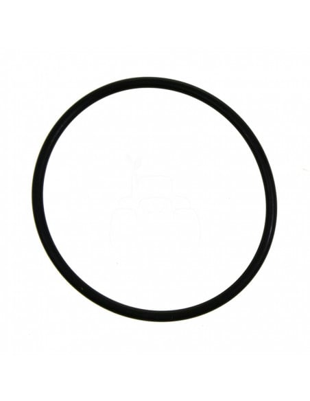 Junta tórica ø 60 x 3 mm