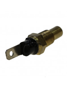 Sensor de temperatura 1/8'' bsp