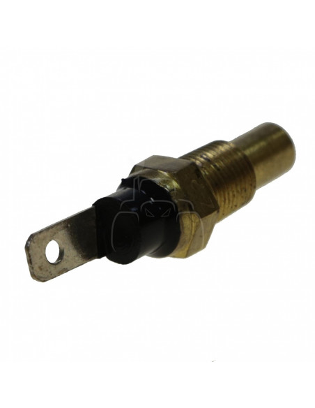 Sensor de temperatura 1/8'' bsp
