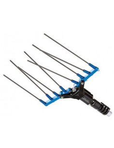 Palmeadora Paterlini Olivelox