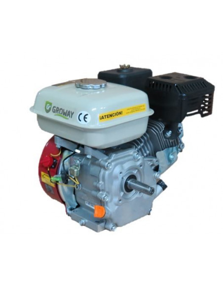 Motor 4 tiempos OHV 200-V