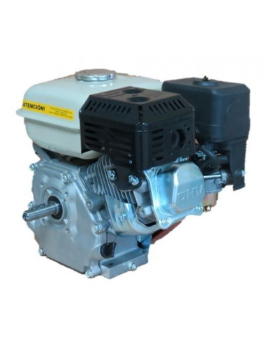 Motor 4 tiempos OHV 200-S