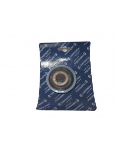 Kit protección + amortiguador de modelo 13