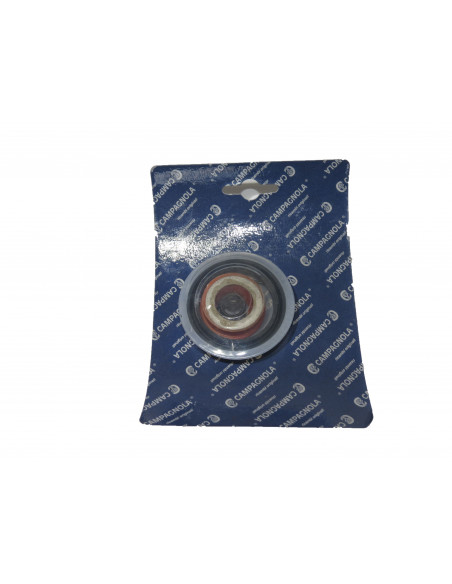 Kit protección + amortiguador de modelo 13