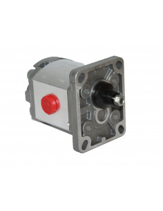 Bomba Hidráulica Pequeña Con Eje sinfines Máquina Almendras Topavi