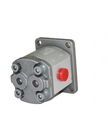 Bomba Hidráulica Pequeña Con Eje sinfines Máquina Almendras Topavi