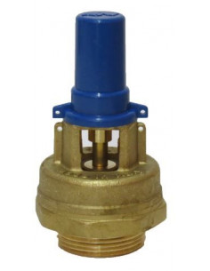 Válvula depresión 1"1/2 para cuba