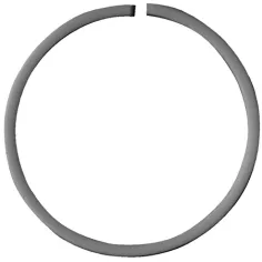 Anillo de respaldo