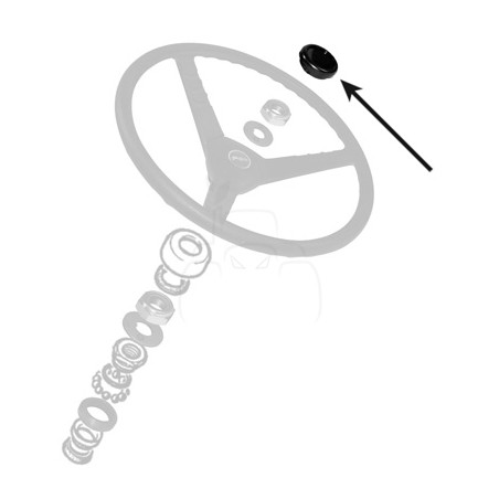 Tapa del volante