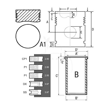 Juego de camisas para pistón