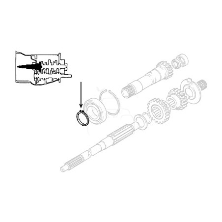 Circlip