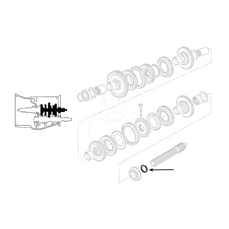 Anillo seguridad