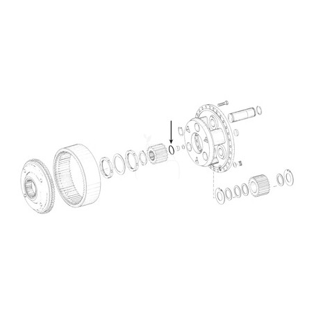 Circlip
