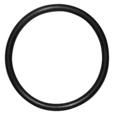 Anillo de respaldo